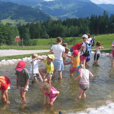 Haus Sommerstein Maria Alm am Steinernen Meer Eksteriør bilde